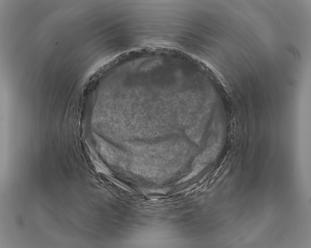 X0000111790919200908201128