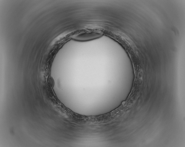 X0000111790920200908201128