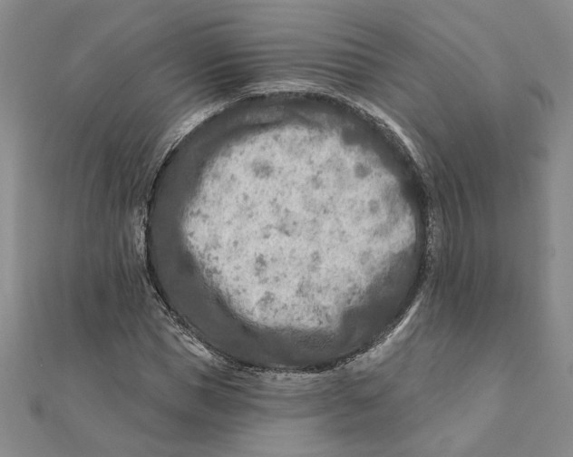 X0000111790921200908201128