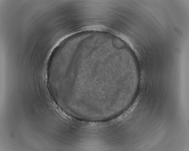 X0000111790923200908201128