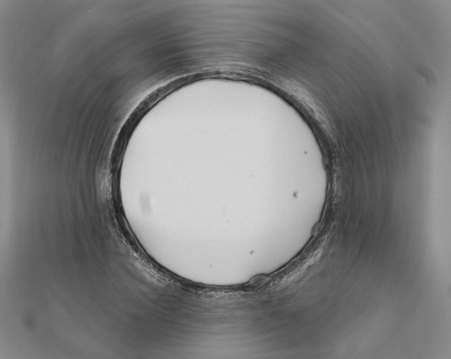 X0000111790924200908201128