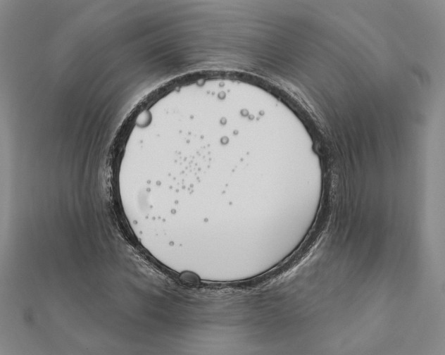 X0000111790926200908201128