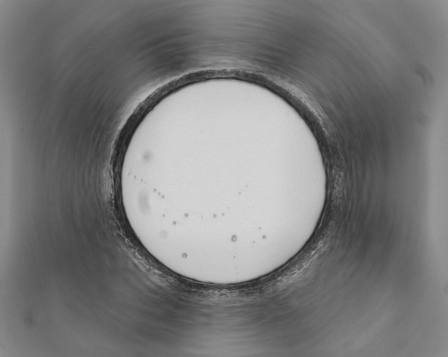 X0000111790927200908201128