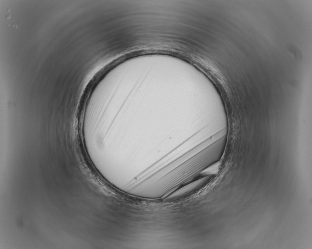 X0000111790928200908201128