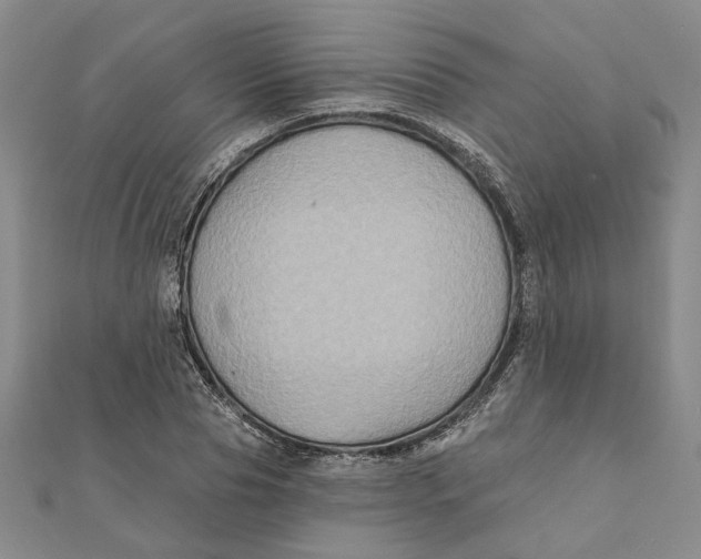 X0000111790929200908201128