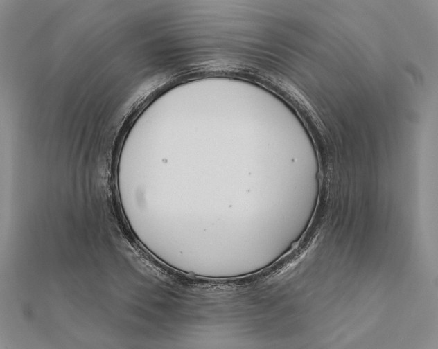 X0000111790930200908201128