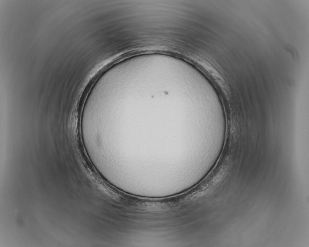 X0000111790933200908201128