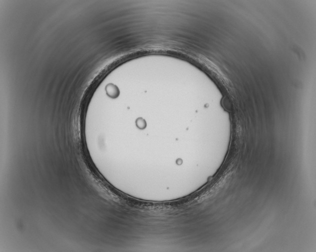 X0000111790934200908201128