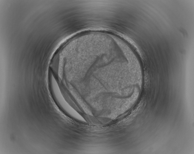 X0000111790935200908201128