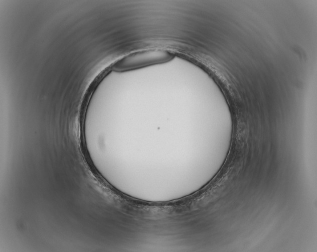 X0000111790936200908201129