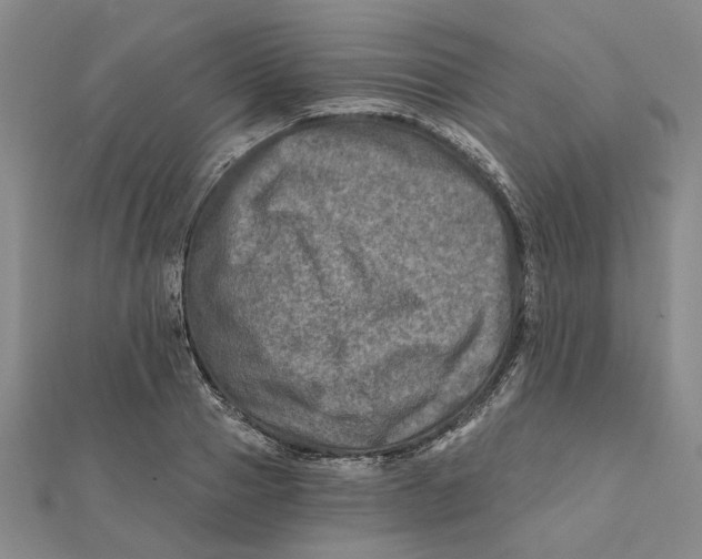 X0000111790937200908201129