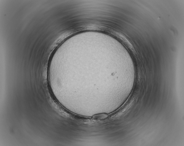 X0000111790938200908201129