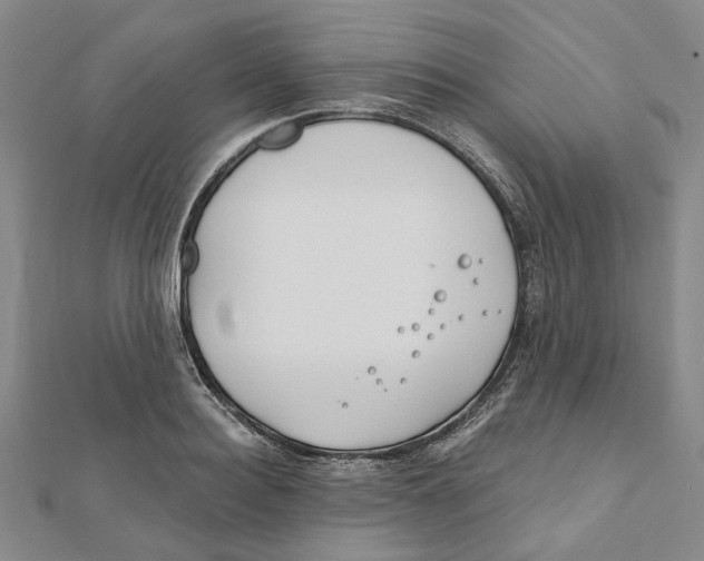 X0000111790940200908201129