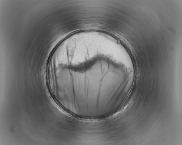 X0000111790941200908201129