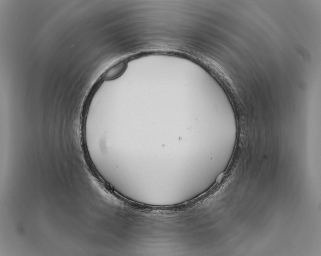 X0000111790942200908201129