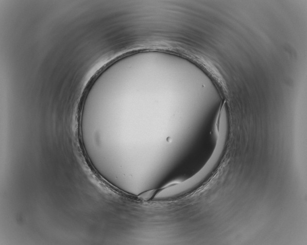 X0000111790944200908201129