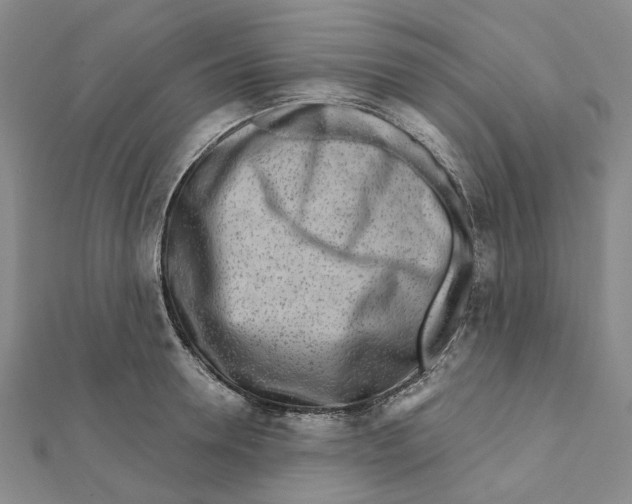 X0000111790946200908201129