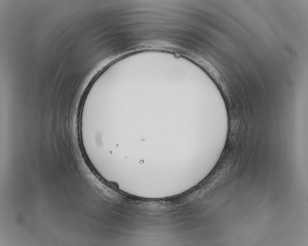 X0000111790947200908201129