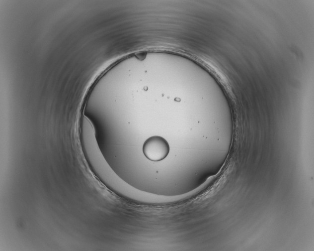 X0000111790948200908201129