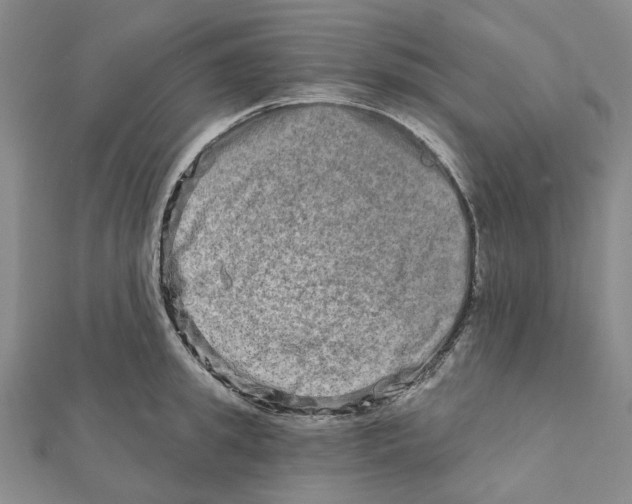 X0000111790949200908201129