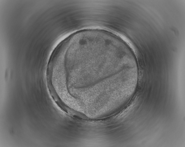 X0000111790951200908201129