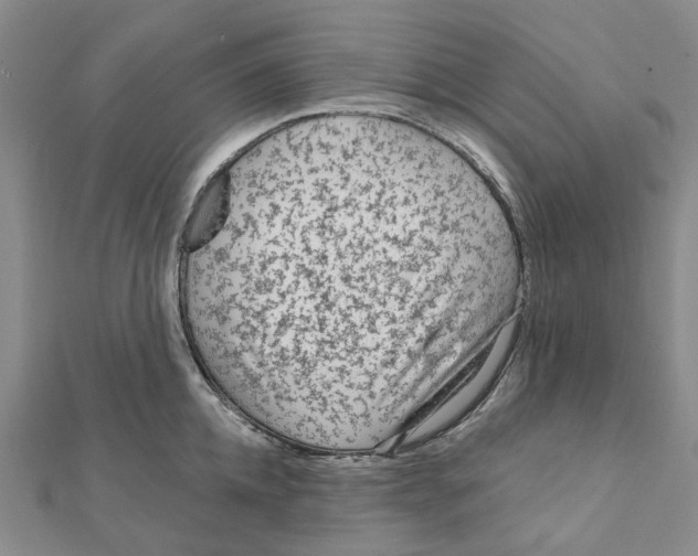 X0000111790952200908201129