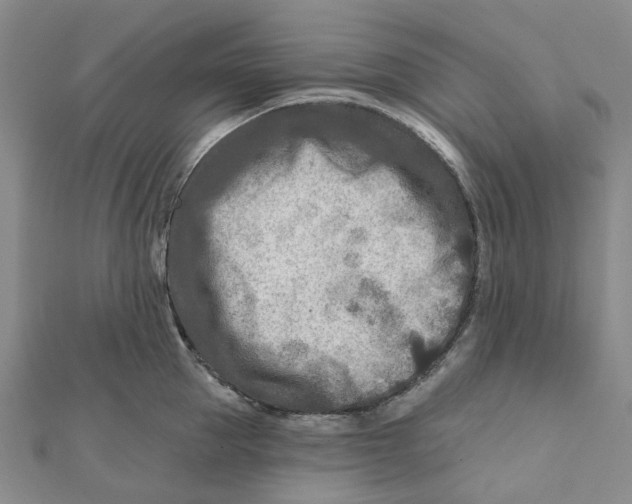 X0000111790953200908201129