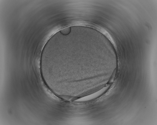 X0000111790954200908201129