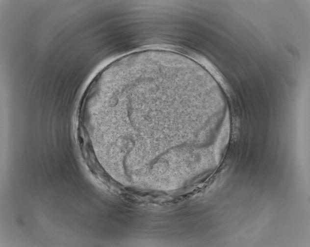 X0000111790955200908201129