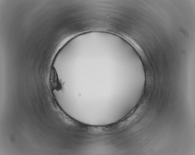 X0000111790956200908201129