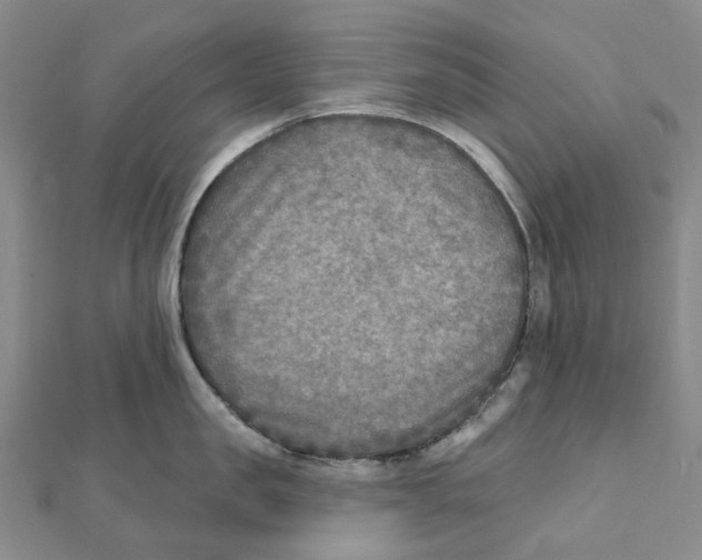 X0000111790957200908201129