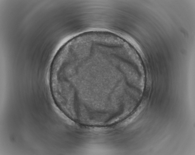 X0000111790958200908201129