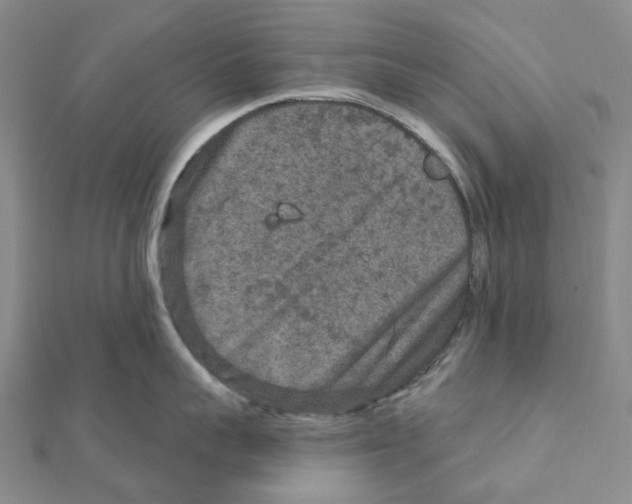 X0000111790959200908201129