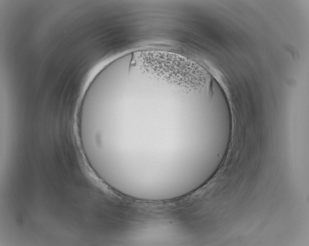 X0000111790960200908201129