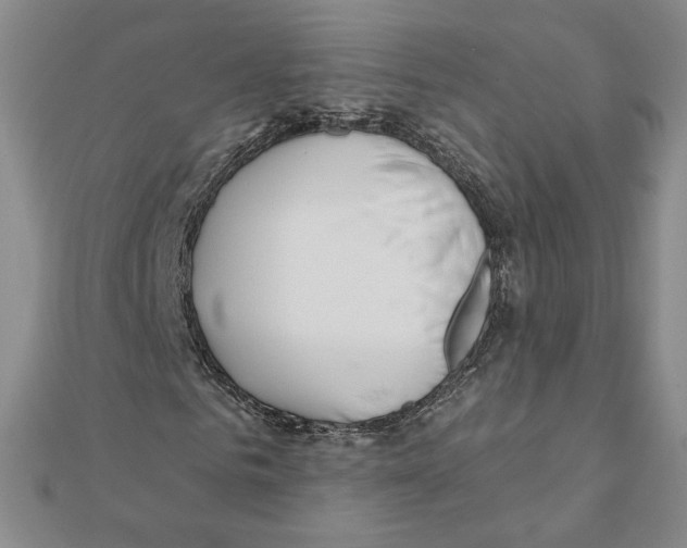 X0000111790961200908201128