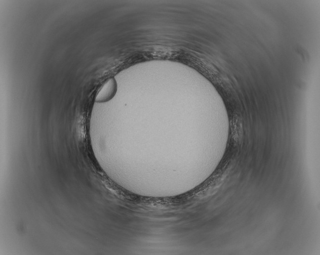 X0000111790962200908201128