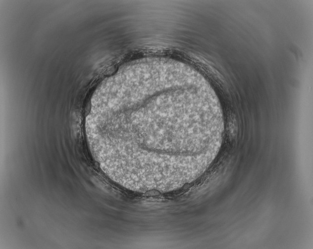 X0000111790964200908201128