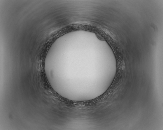 X0000111790965200908201128