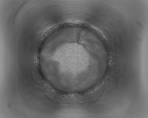 X0000111790966200908201128