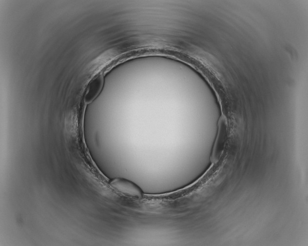 X0000111790969200908201128