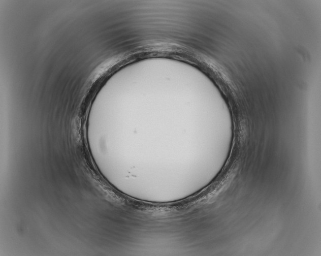 X0000111790970200908201128