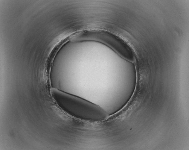 X0000111790973200908201128