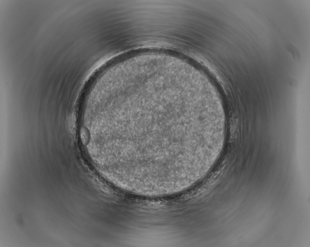 X0000111790975200908201128