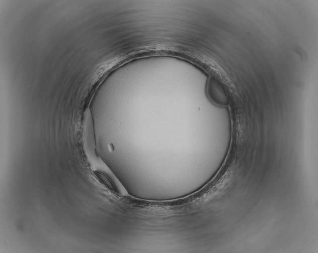 X0000111790977200908201128