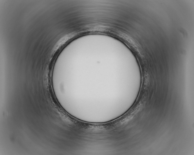 X0000111790978200908201128