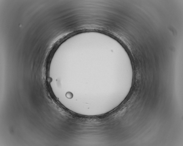 X0000111790979200908201128