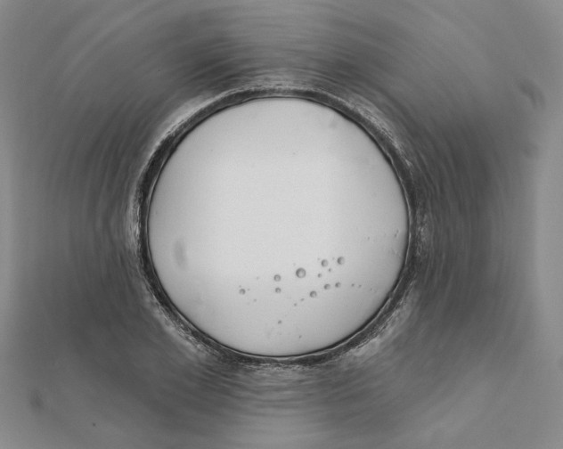 X0000111790981200908201128