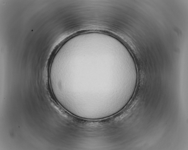 X0000111790982200908201128