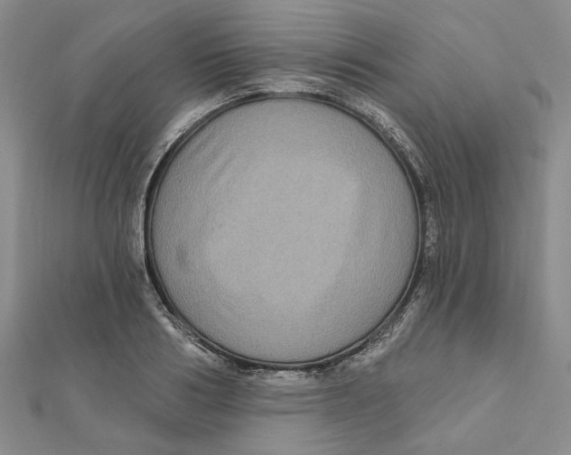 X0000111790986200908201128