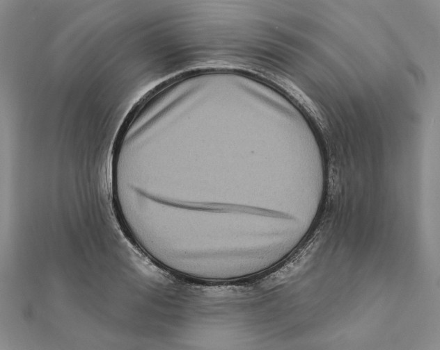 X0000111790988200908201128